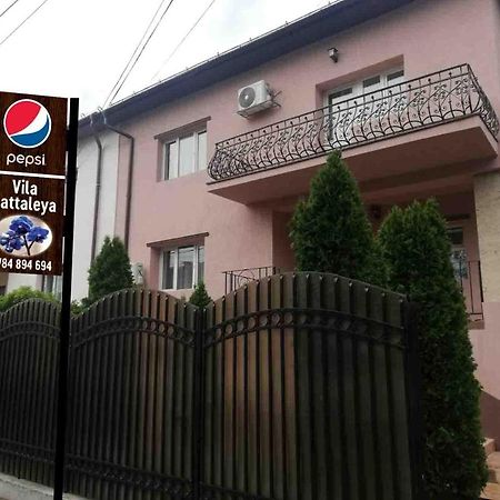 Casa Cattleya Hotel Târgu Jiu Eksteriør billede