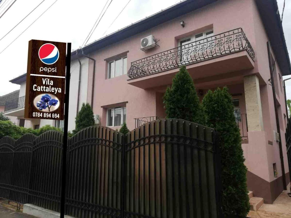 Casa Cattleya Hotel Târgu Jiu Eksteriør billede