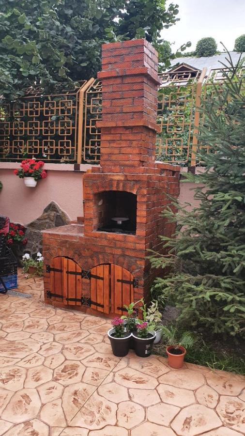 Casa Cattleya Hotel Târgu Jiu Eksteriør billede